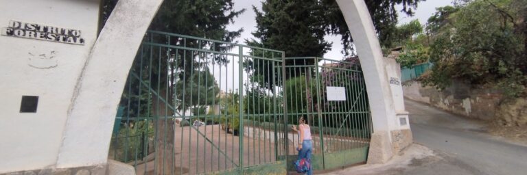 Pinos Puente