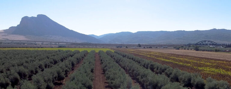 Antequera – Villanueva De Algaidas