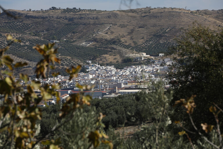 Doña Mencía – Baena