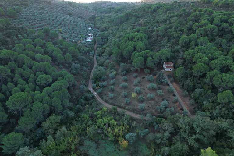 Alcaracejos – Hinojosa Del Duque